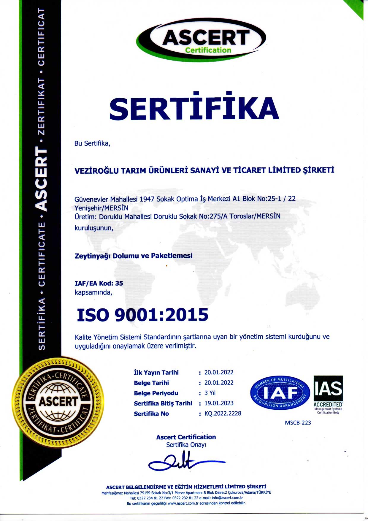 sertifika1.jpg (166 KB)