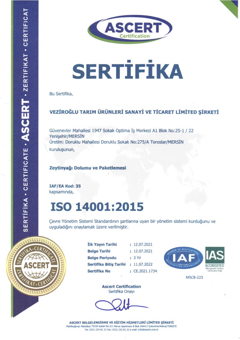 ISO 14001:2015 Kalite Belgesi